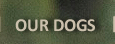 Our Dogs