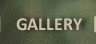 Photo Gallery